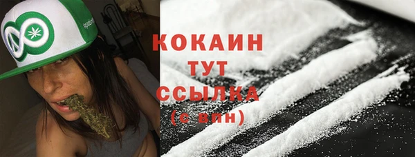 Альфа ПВП Белокуриха