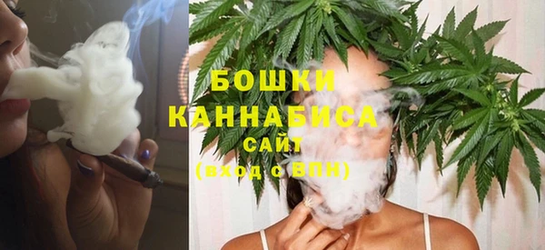 Альфа ПВП Белокуриха