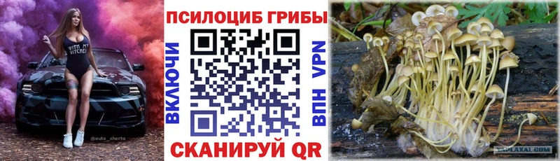 Псилоцибиновые грибы Magic Shrooms  Маркс 